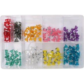 Assorted Micro Fuses
