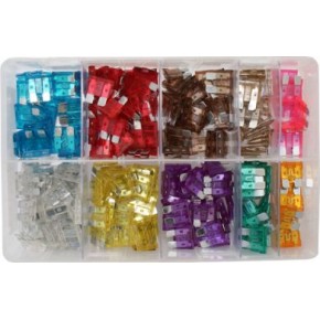 Assorted Standard Fuses