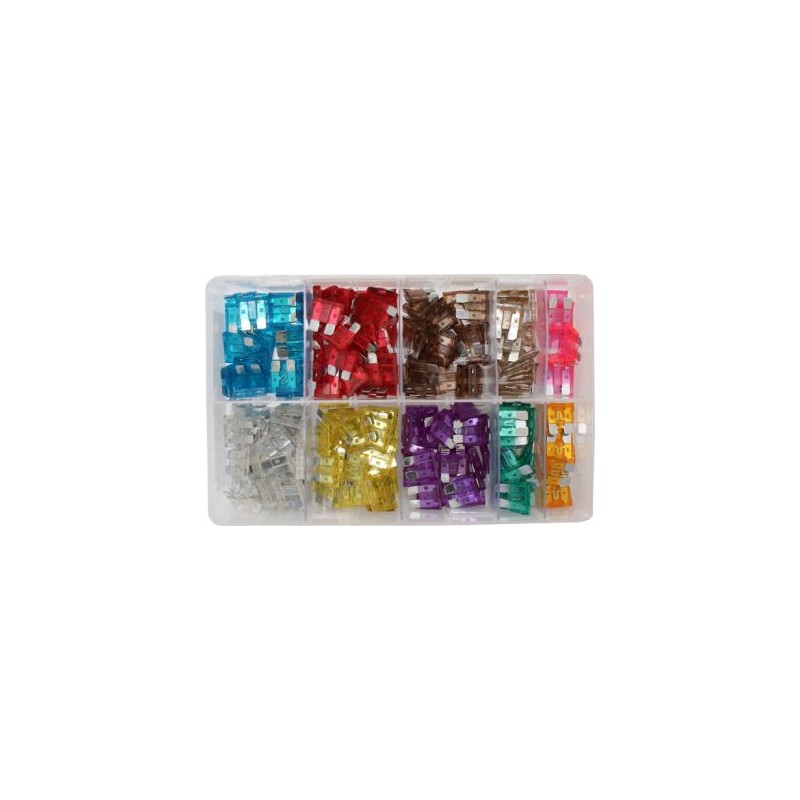 Assorted Standard Fuses