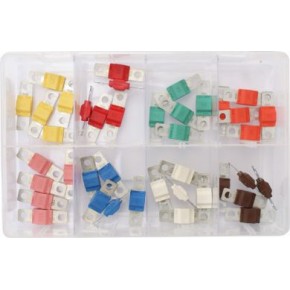 Assorted Midi Fuses