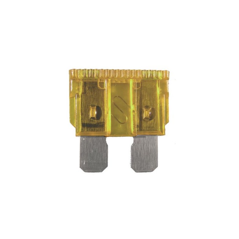 Standard Fuse - 5 Amp