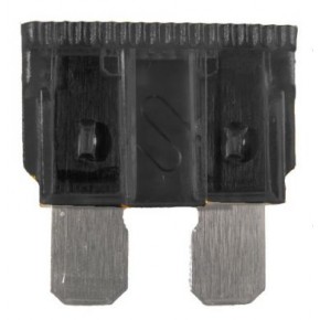 Standard Fuse - 1 Amp