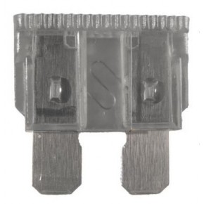 Standard Fuse - 2 Amp